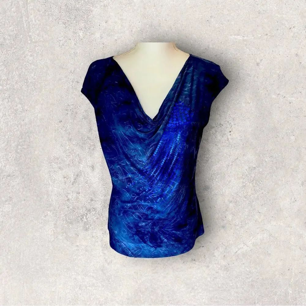 Dressbarn Sleeveless Blue Sequin Top Size Petite Medium